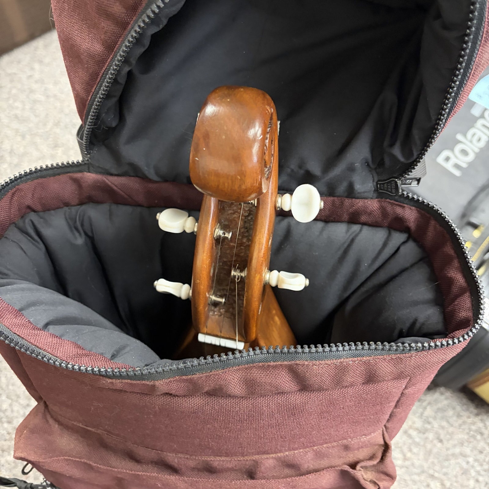 Hourglass Mountain Dulcimer 1970s, brand unknown with case