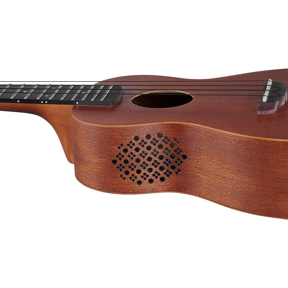 Ibanez UKC100 Open Pore Concert Ukulele (with Gig Bag)