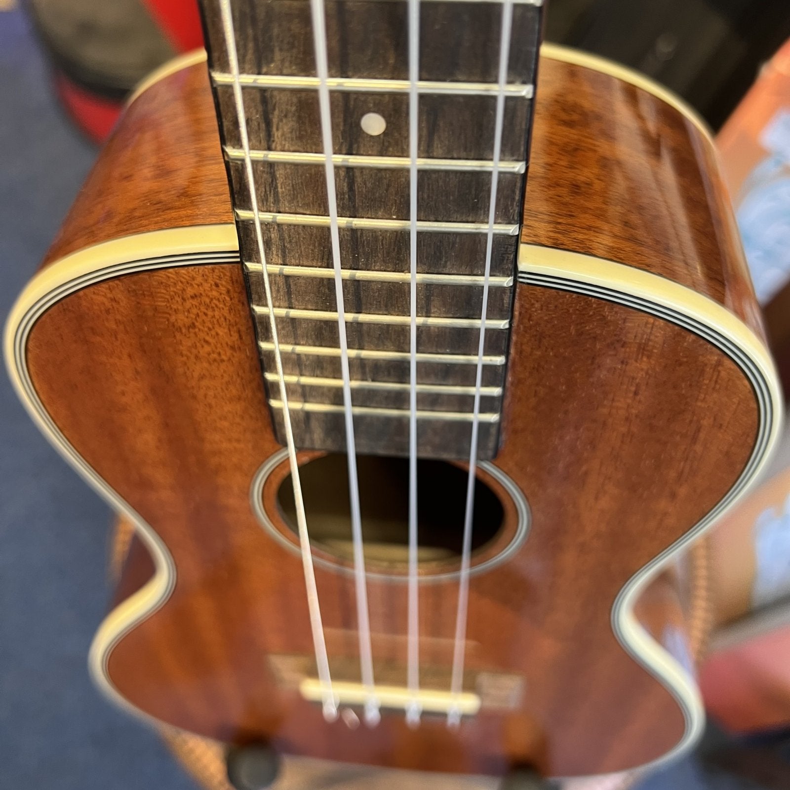 Kala KA-CGE Glossy Concert Ukulele w/EQ - w/low G
