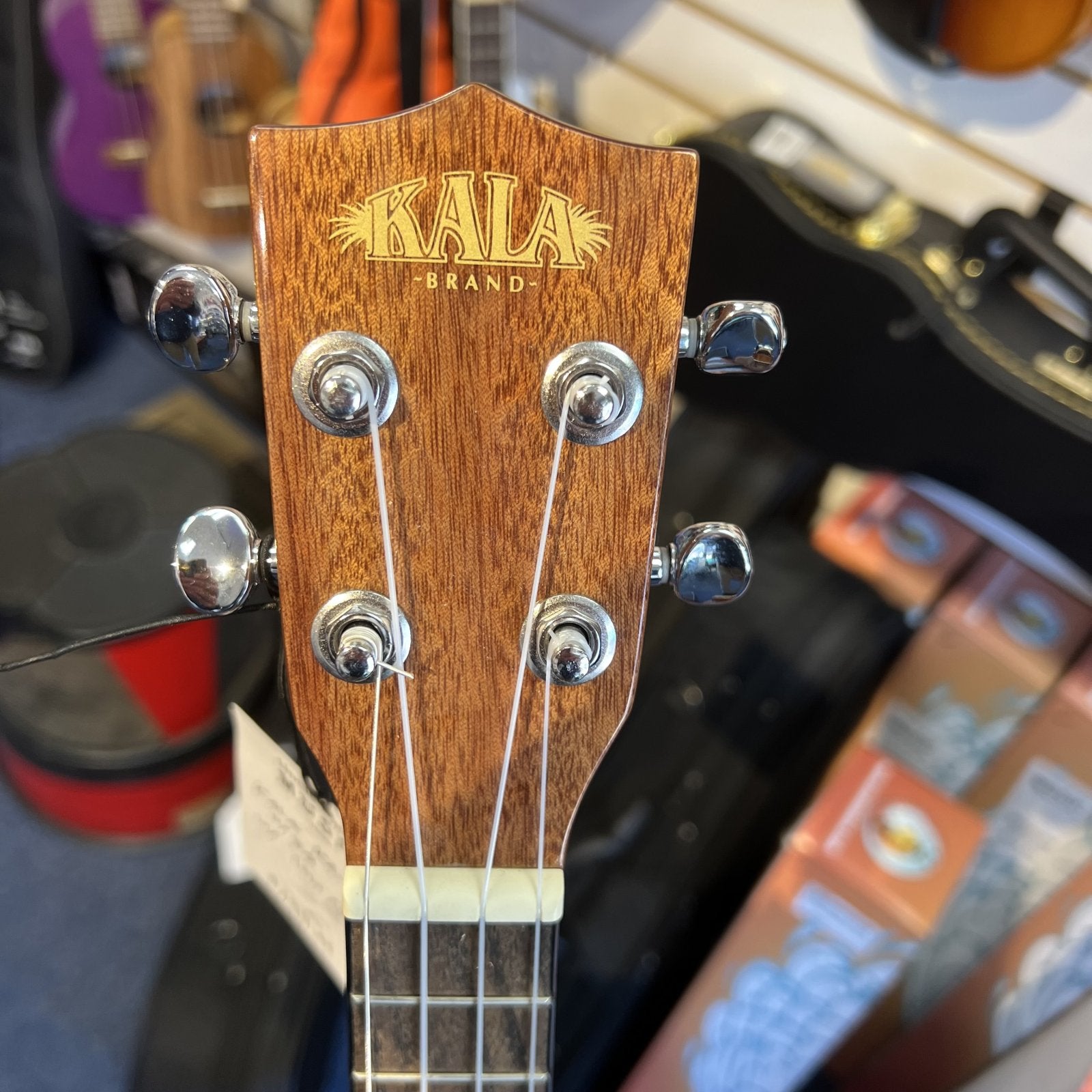 Kala KA-CGE Glossy Concert Ukulele w/EQ - w/low G