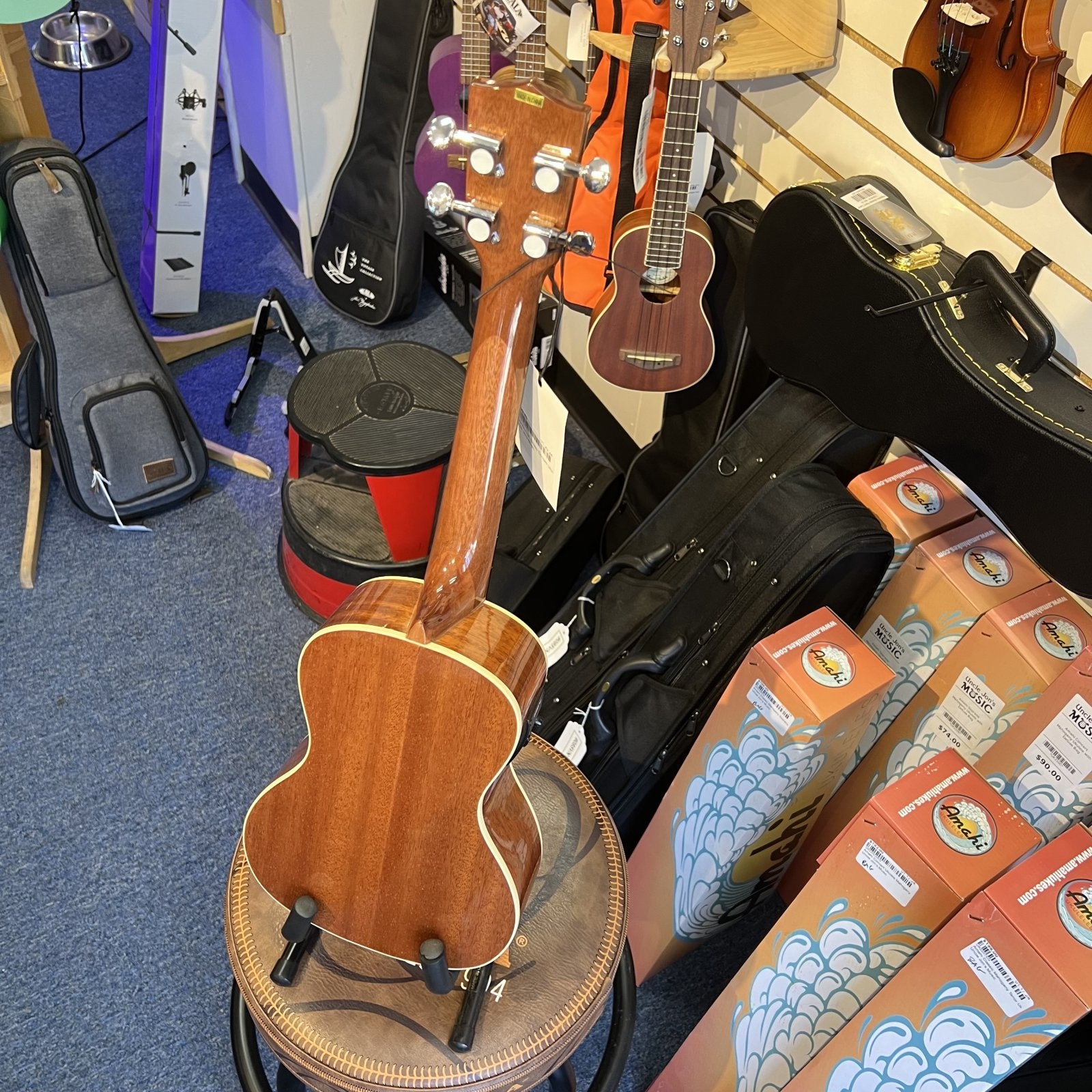 Kala KA-CGE Glossy Concert Ukulele w/EQ - w/low G