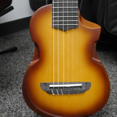 Ibanez AUP10N Nylon 6-String Tenor Ukulele Light Brown Sunburst