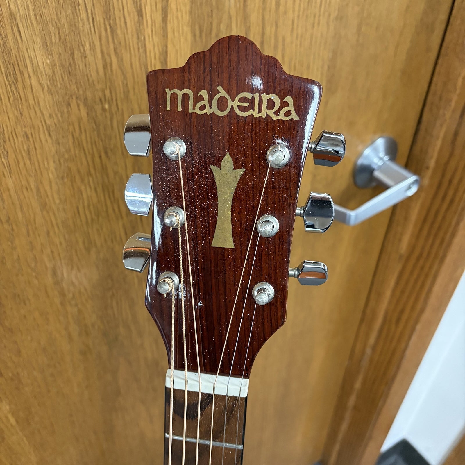 Madeira A-10 Dreadnought Acoustic Guitar - 1970s by Guild w/bag