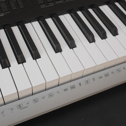 Casio WK-220 76-key keyboard used