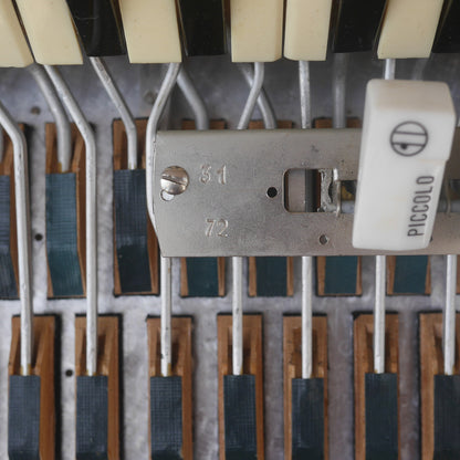 Temple Piano Accordion 120 Bass, LMH, Microphone.  Black.  1950s