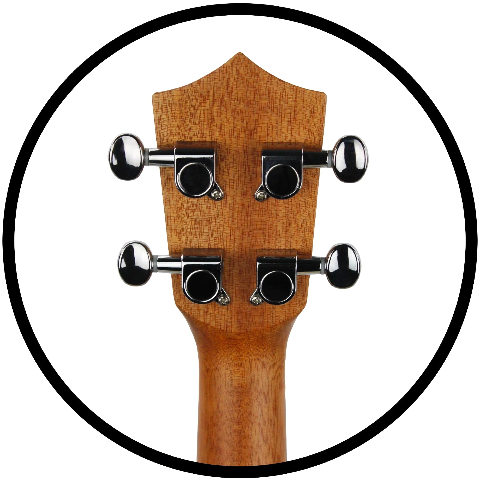 Penguin Classic Flamed Maple Concert Ukulele (PGUK550C)