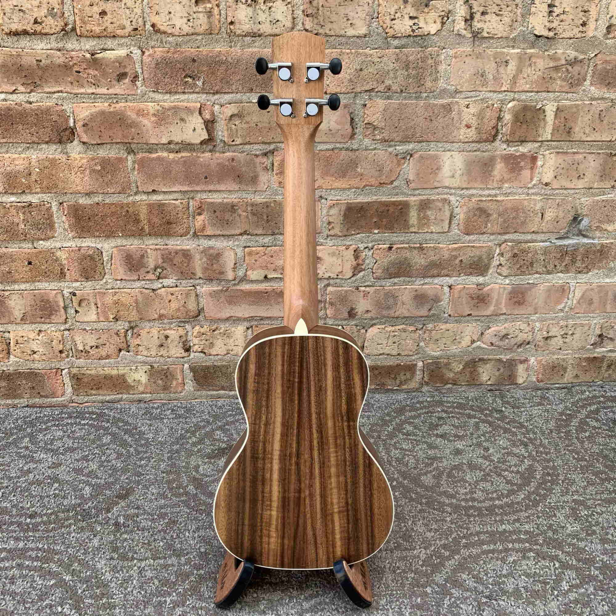 Alvarez Regent Concert Ukulele Pack w/Tuner and Gig bag Acacia