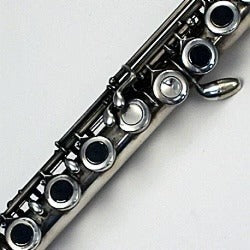 Runyon R13 Touch Tips Flute Hole Plugs