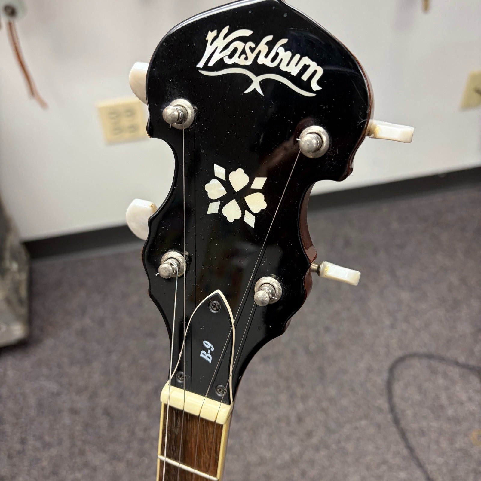 Washburn B-9 5-String Banjo w/pickup, Used