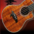 Ukulele Circle Songbook Feb. 2024