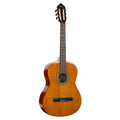 Duplicate UPC: Valencia VC264 Classical Guitar Natural | 129.99 | 8997032892371