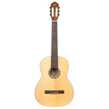 Duplicate UPC: Ortega Family Series Left Handed Nylon String Guitar | 229.99 | 840553023039